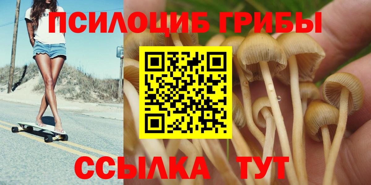 Псилоцибиновые грибы мухоморы Фурманов